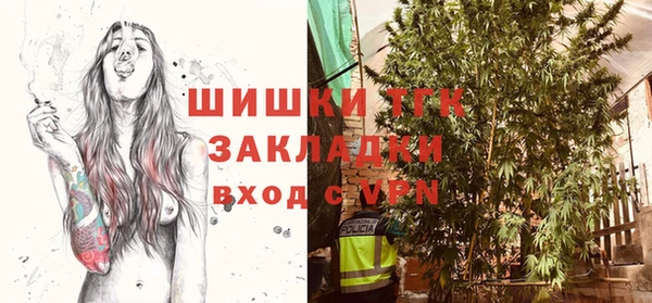 гашик Карталы