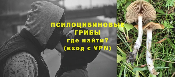 дживик Киреевск