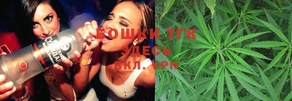 мдпв Корсаков