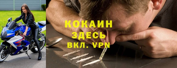 а пвп мука Кодинск