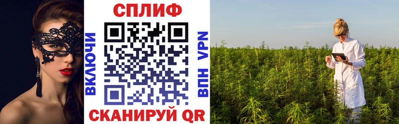Каннабис THC 21%  Купить где  Зеленокумск 